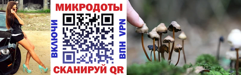 Галлюциногенные грибы прущие грибы  hydra ТОР  Строитель 